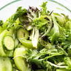 Plain Leaf Salad
